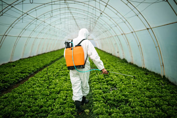 Best Best Pest Control Companies  in Fort Denaud, FL