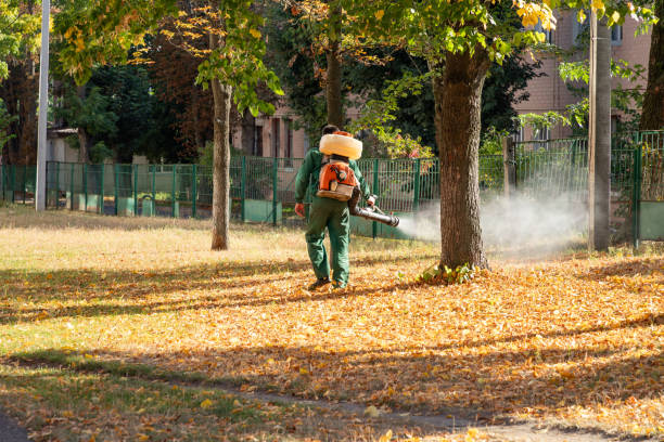 Best Cockroach Control Services  in Fort Denaud, FL