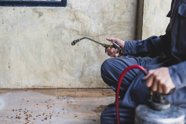 Best Affordable Pest Control Services  in Fort Denaud, FL